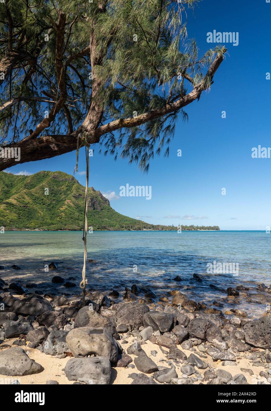 Corda o albero swing sulla spiaggia di Kahana Bay nel Kahana state Park a Oahu, Hawaii Foto Stock