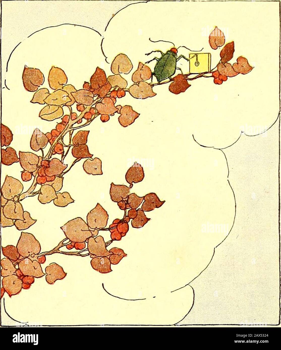 Il libro di Peter Patter; rime per i bambini . Un MAGGIOLINO UNA VOLTA SAT SU UN RAMOSCELLO DI BACCHE UN coleottero una volta sedette su un ramoscello di bacca del bar, e girò alla manovella di un thingum-a-jig. Aghi per cornetti, Nippersfor forms, Per il bumblebee baby nuovamente paio di pantaloni, Per il vecchio cappello gofera grizzled e una parrucca, il coleottero macinare fuori del suo thingum-a-jig. Foto Stock