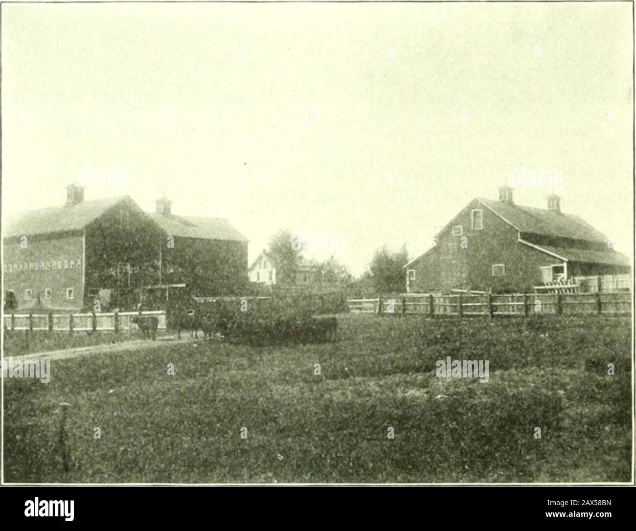 Alcuni degli antenati e discendenti di Samuel Converse, jr., della parrocchia di Thompson, Killingly, Conn.; James Convers Maggiore, di Woburn, Mass.; Honan Allen, MC., di Milton e Burlington, Vermont; il capitano Jonathan Bixby, srof Killingly, Conn . Resideuce di Samuel Auibroae Conviisu, lil = cu, luwa, costruito iu IJUl. 614 Zhc Converse jfamilvi ha seguito l'occupazione di allevamento e allevamento, facendo una specie di allevamento registrato bovini rossi. Ha risieduto in Sumner Township, Win-neshcik Co., la., fino al 1880, quando ha spostato TM^o miglia ad una fattoria di circa onethousand acri in New Oregon Foto Stock