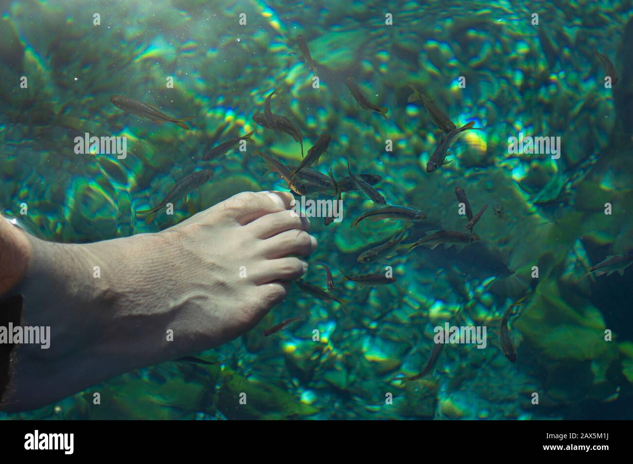 Uomo piede nell'acqua di un cenote a Dzibilchaltun, Yucatan, Messico Foto Stock