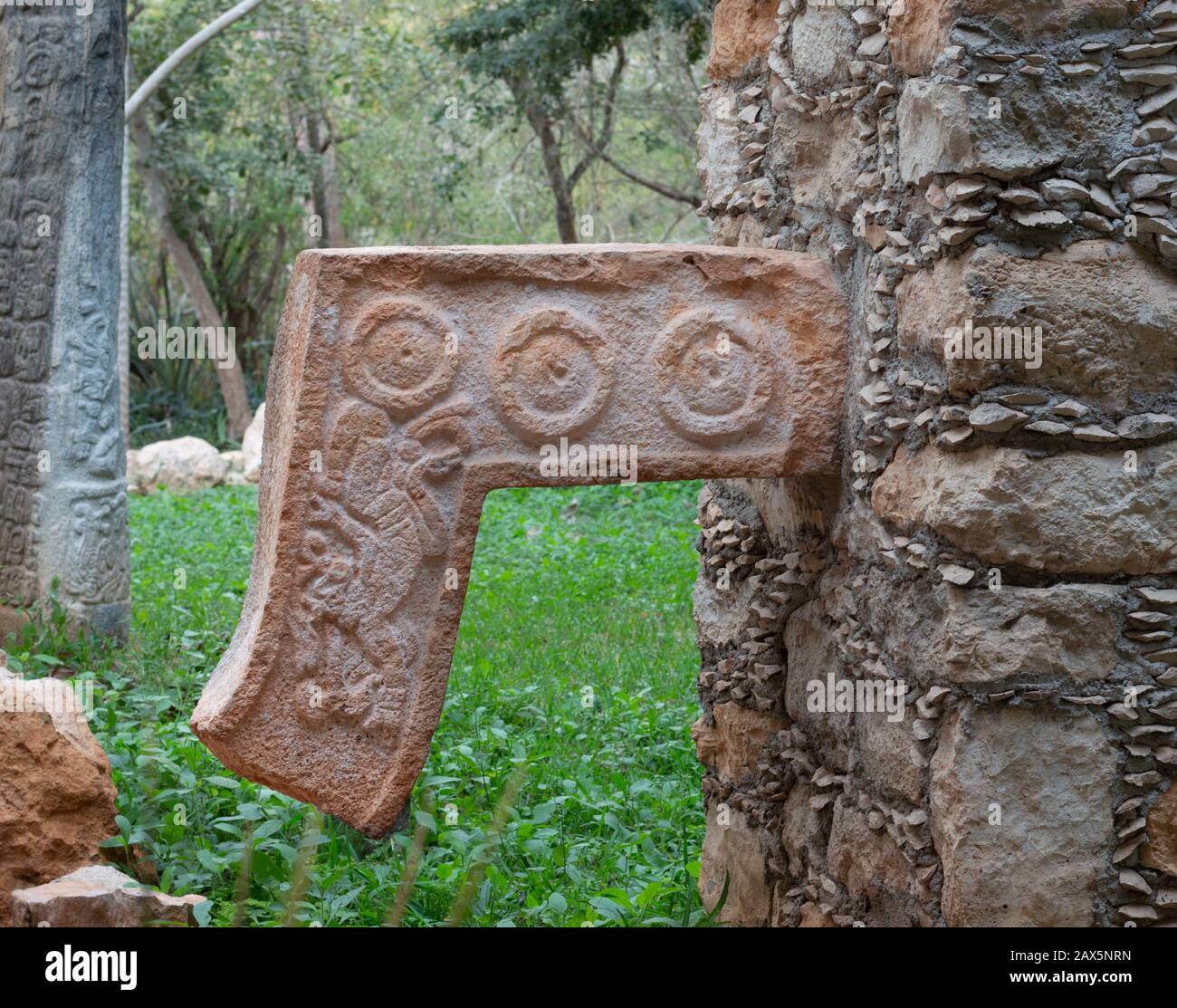 Frammento di naso di Dio Chaac dal tardo periodo classico Maya a Dzibilchaltun, Yucatan, Messico Foto Stock