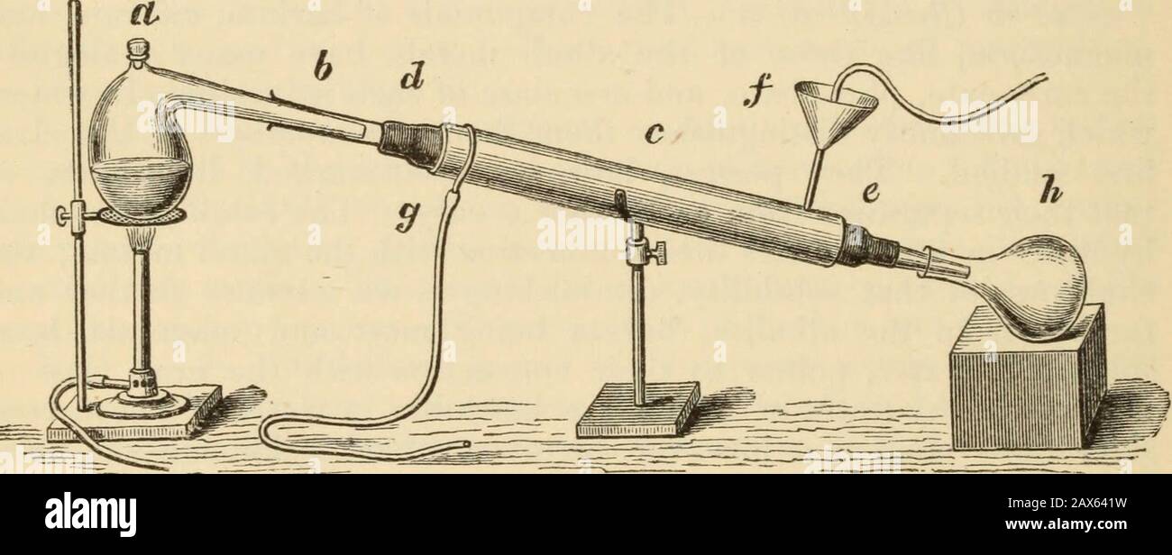 Chimica: Generale, medica e farmaceutica, compresa la chimica della farmacopea europea; un manuale sui principi generali della scienza e le loro applicazioni in medicina e farmacia. Nota: In relazione alla bivalenza dei metalli Bario, Calcio e Magnesio, è interessante notare che proprio come radicali acidui biva-lent danno sali contenenti due atomi di radicali monovalentbasilosi (K.2S04, NaHS04, H2C03, KNaC4H406), così i radicali basilosi biva-lent danno sali contenenti due atomi di radicali acidui, come visto Foto Stock