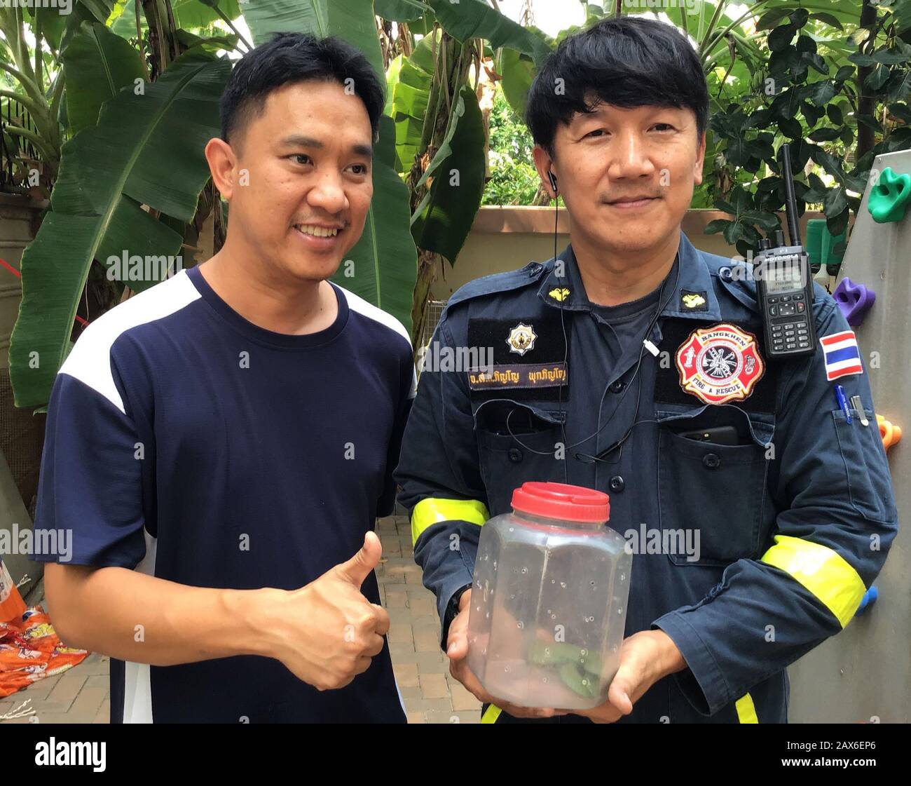 Bangkok, Tailandia. 03rd Feb, 2020. Housemates Theerat Navavavavivatsakul e Pinyo Pukpinyo (r), cacciatore di serpenti presso il dipartimento del fuoco, a Bangkok mostra un viper che ha catturato Pukpinyo in un cortile. Nella capitale tailandese, la brigata antincendio è chiamata più spesso per i serpenti che per spegnere gli incendi. (A dpa 'The Snake Hunter of Bangkok') credito: Caroline Bock/dpa/Alamy Live News Foto Stock