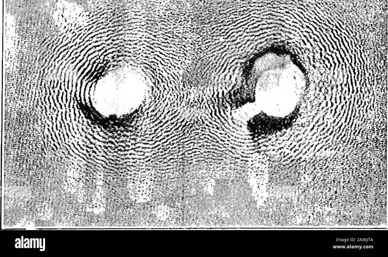 Campi di forza; conferenze supplementari, applicazioni per la meteorologia; . te ogni caso. Le particelle, quindi, si concateneranno tra loro normalalle linee di flusso nel fluido; esse si disporranno asstrati che seguono le superfici equipotenziali, e che, come una sequenza di repulsione reciproca, sono separati tra loro da spazi vuoti. E' indifi^erente se per l'esperimento SI INDAGA SU PKOPERTIES. 49 prendere una polvere leggera, che corrisponderebbe alle limature di ferro, ora polvere pesante, che corrisponderebbe alle limature di bismuto. Per ragioni pratiche, esso Foto Stock