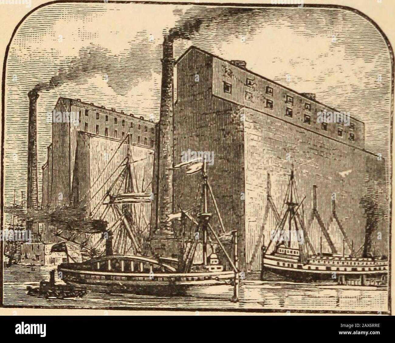 Storia della nuova scuola degli Stati Uniti . un mais in 1880approached due millionedi di bush-els, mentre quello di grano era quasi fivehundred milioni di bushels.* In 1789the le importazioni sono state valutate a ^23.000.000, e le esportazioni di prodotti nazionali a quasi ^20.000.000. Nel 1881 gli im-porti erano quasi ^730.000.000, e gli exportsnazionali non lontano da 850.000.000 dollari. STEAM E ELECTRICITV. 158. Tutte le transazioni sono state accelerate dalla rete di linee telegrafiche e di ferrovie, collegando tra loro le parti più mote del paese, f le molteplici applicazioni di * Tra le moderne applicazioni Foto Stock
