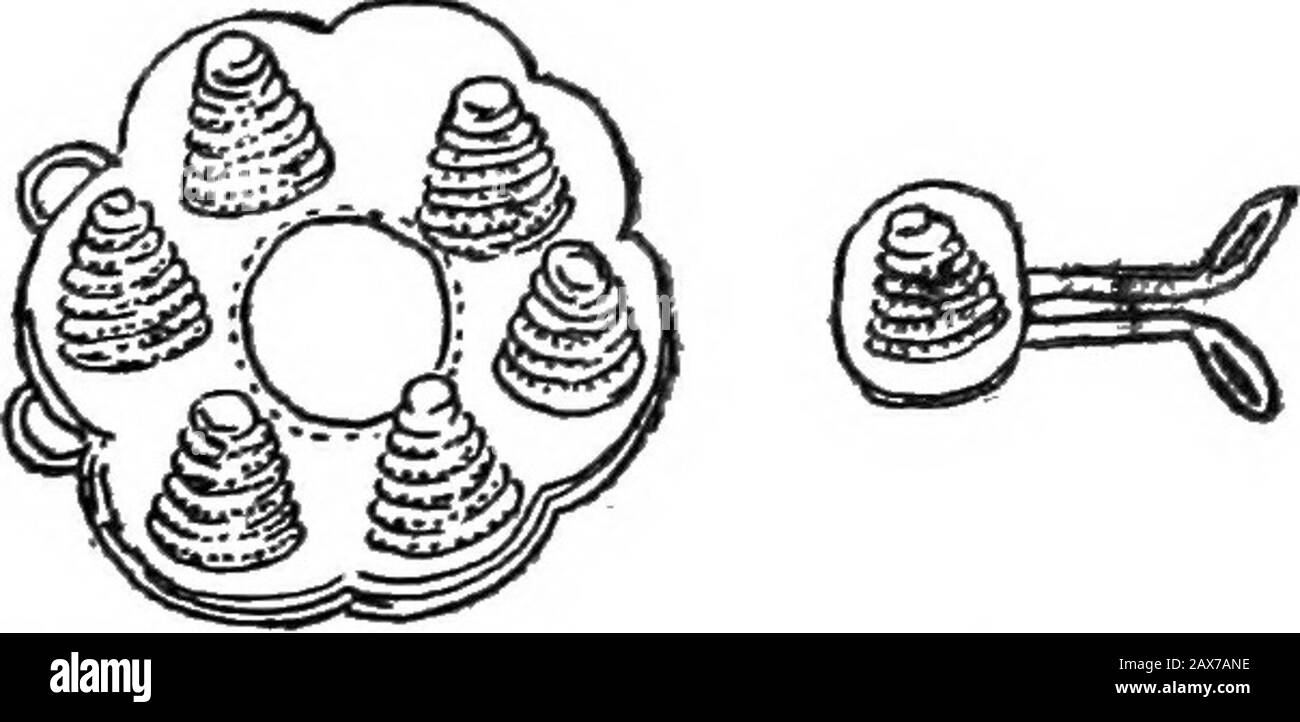 Shans a casa. Prima non aveva figli, thesecond aveva parecchi figli. Le due donne erano i più grandi amici, e dopo la morte dei mariti, quando il figlio maggiore riceveva un posto importante nella staedea andò a vivere diversi giorni di viaggio dalla sua casa, era accompagnato dalle sue due madri, come le bothwomen lo guardavano come loro figlio. Se una vedova con figli sposa un vedovo con i figli, i techildren possono sposarsi. La poliandry è sconosciuta. Se una ragazza non sposata givesbirth ad un bambino non ha alcuna pretesa legale sul padre, ma deve sostenere il bambino stesso. Se il padre è un operatore che non intende mar Foto Stock