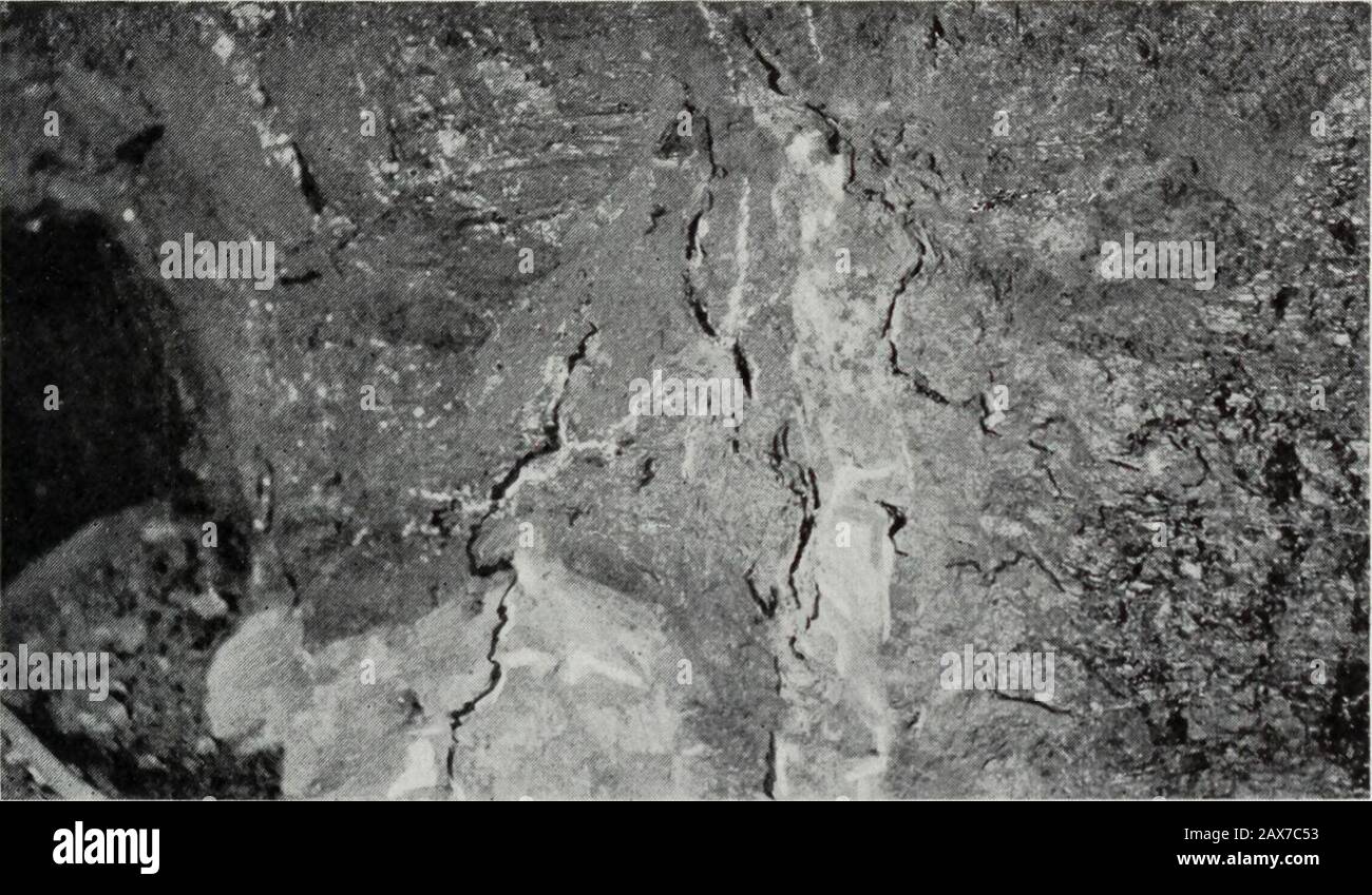 Estrazione di carbone in Illinois . s un grigio scuro fircreta whichheaves male quando bagnato. In una miniera il pavimento è un fuoco-argilla blu contenente concrezioni nodulari di piriti di ferro. Distretto V, SEAM 5 Seam 5 nelle contee di Saline e Gallatin si trova ad un depthof 25 - 40 piedi, essendo più vicino alla superficie lungo la parte meridionale. La linea di giunzione varia in spessore da 4 a 8 piedi, che invecchiano il castoro 5Yz piedi nella contea di Saline e 4 piedi nella contea di Gallatin. Descrizione DELLE FILONI DI CARBONE Fare il tetto di n ° 5 in questo distretto è uno scisto variabile incolor da grigio chiaro a nero, e localmente può essere laminatedand interbeded con osso e. Foto Stock