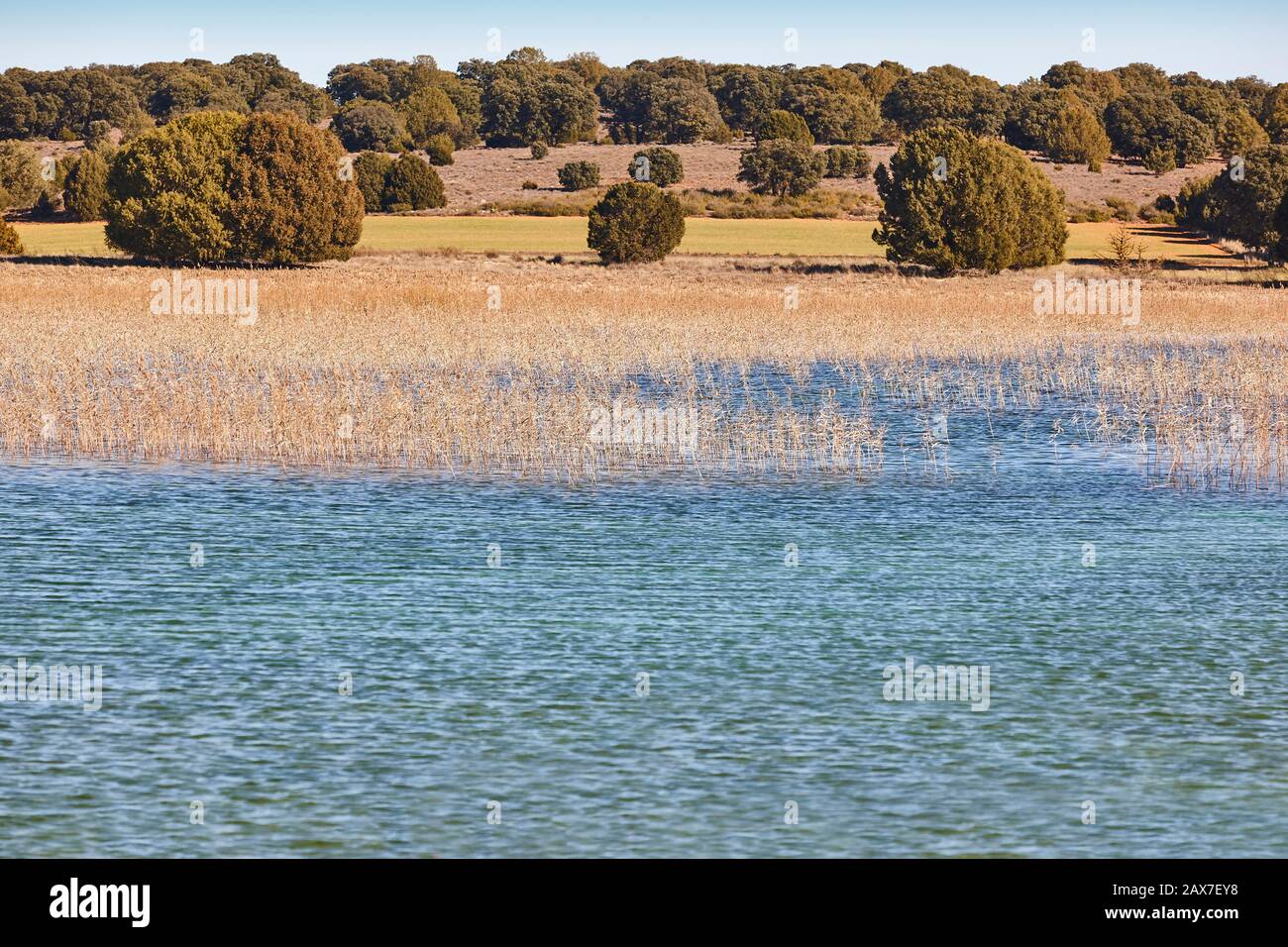 Zone umide in Spagna. Lagunas del Ruidera. Albacete Ciudad Real Paesaggio Foto Stock