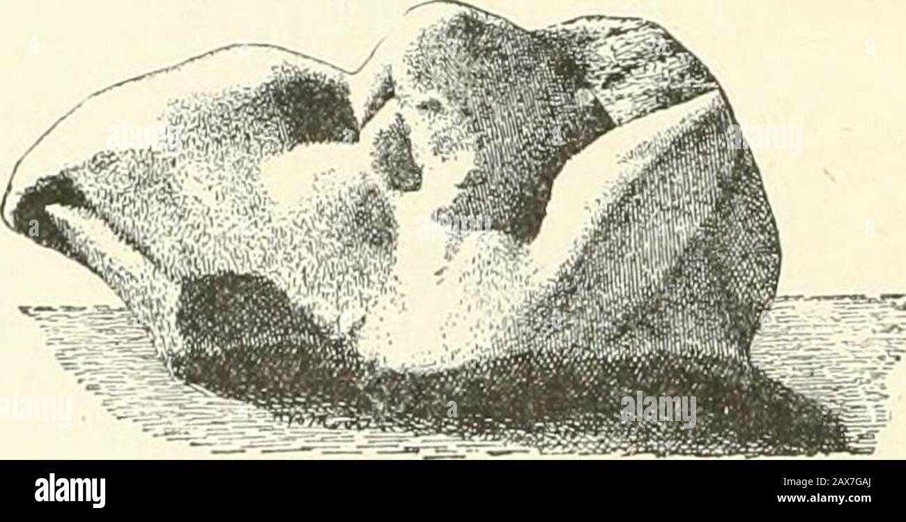 Documenti della Scuola americana di Studi Classici ad Atene . Fig. 11 (xxiv).. Fiu. 1-2 (XXVj. SCULTURE DI IKARIA. 125 cono, sacro a Diony.sos. Si fa qui riferimento alle linee di VER-gils Georgics (II, 393-5): Ergo Rite suum Baccho diccmus honorcm i car-minibus patriis, lanocsque et liba feremus, i et ductus cornu stabit sacerhircus ad aram. Il diametro tiico del bacino nel dipinto sembra essere uguale all'hciglit della statua, in modo che non abbiamo bisogno di sentire chatour lastra è troppo grande per essere spiegato in questo modo. Né è un'obiettivo che è di pietra, non di metallo. Ma un se Foto Stock