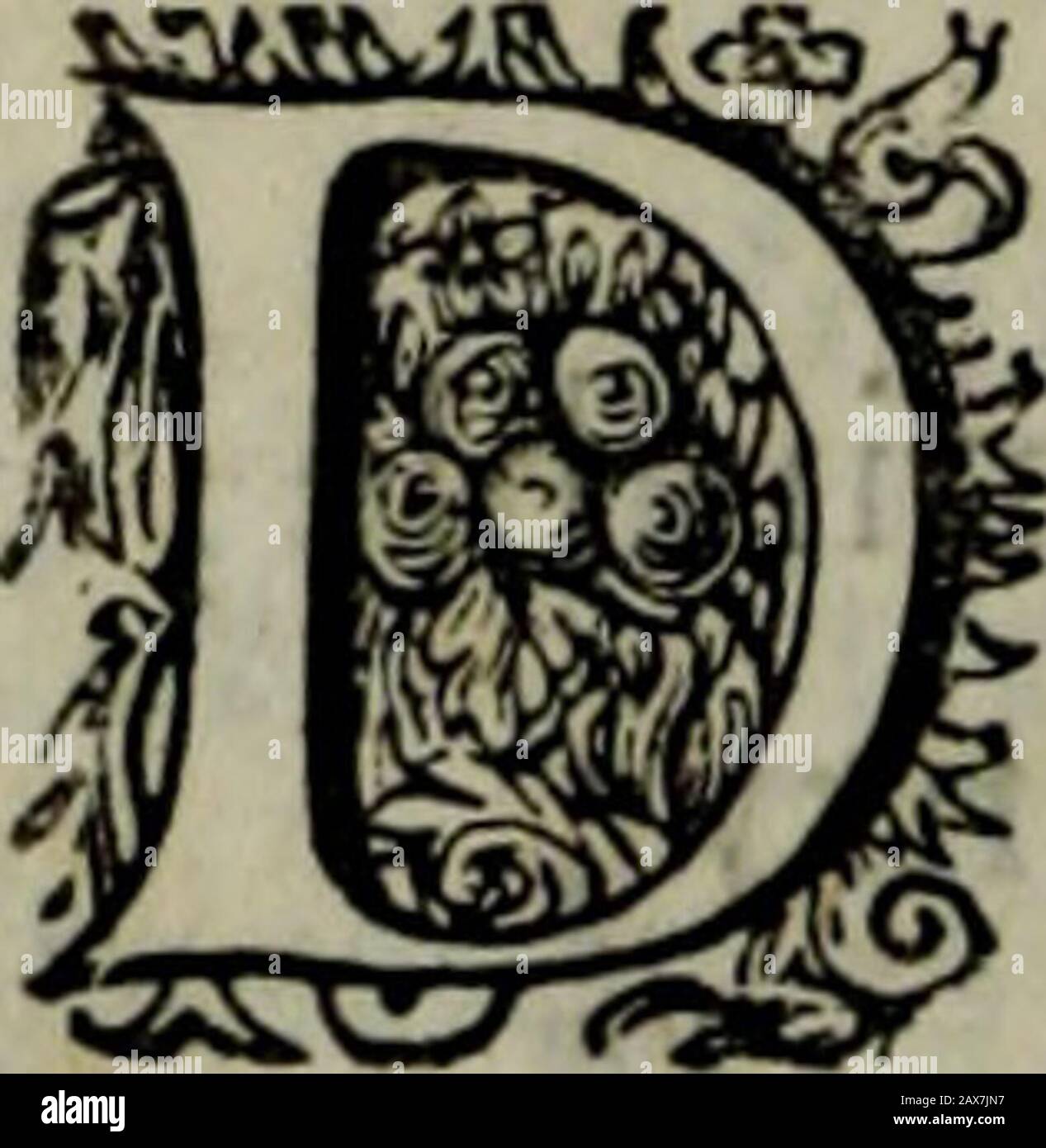 Le livre des peintres et graveurs . des Comtes jeune est sans dute mirable ; 3nmet en pareil rang Baies, Vignon, Henry;DN y met Gougenot298, Migon, Jarre, Jary2,Vlichel Martin Danjou, partout concediable. ( 58 LE LIVRE DES PEINTRES XVI Les Armoiries. Ceux que je vais nommer ont fait des armoiriesle Segoin300 de Bourgongne, avec Charles Sohier, Monnet, Noblet, Morin, Paliot30&lt; et Scohier, Presque tous Bourguignons dans leurs humeurs fleu-riesXVII Quelques Ingénieurs. Pour les ingénieurs, Jean Antoine de Ville102,Bachot303 ,François de Malthe, et Langres 30A eLEspajace, Morel, Louys de S. M. Foto Stock