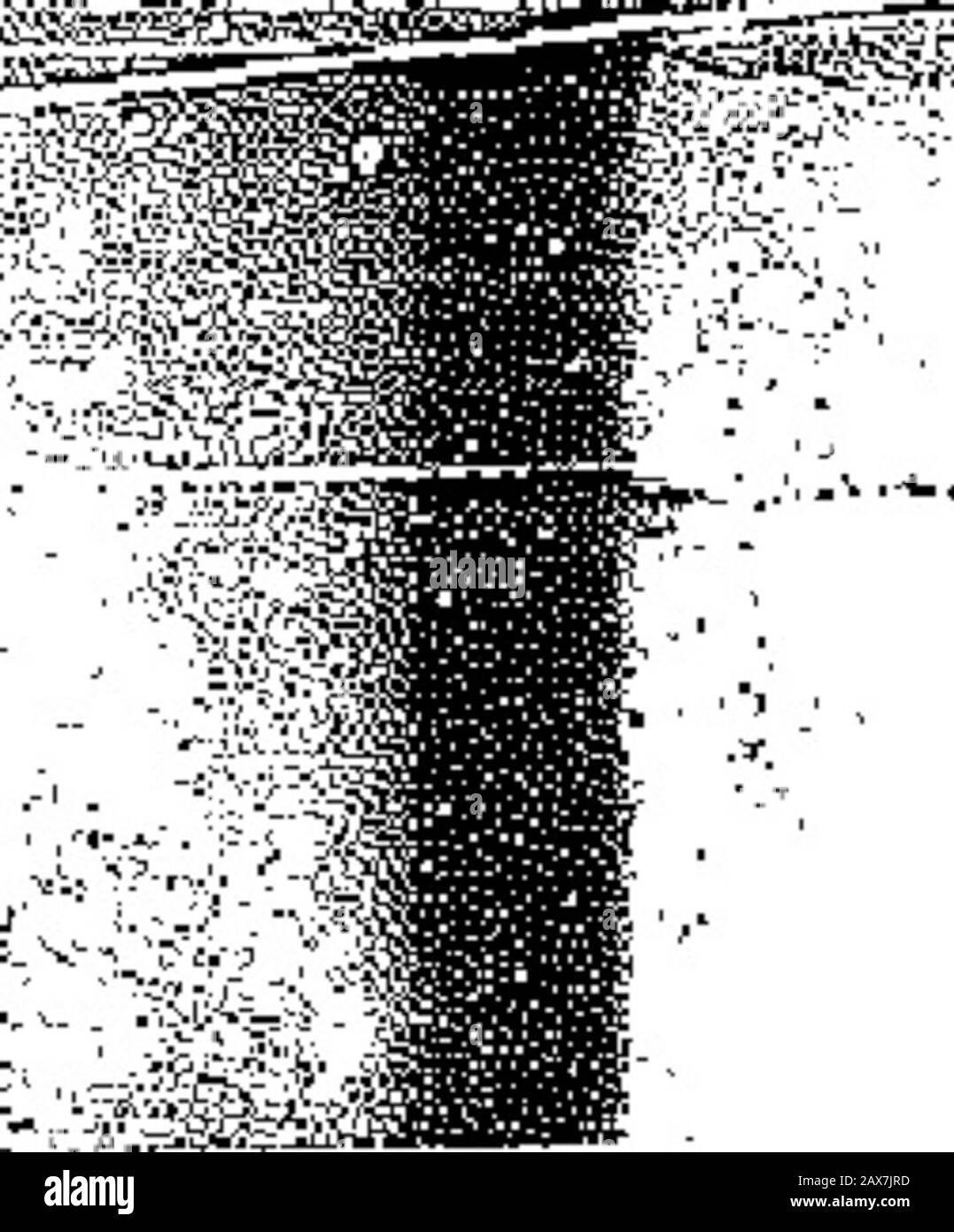 The War Cry . Ps. Nel pomeriggio del tie la Penitenzieria era visk-ed. Il C. S. ha rivolto 400 uomini, mentre Capt.Hurdand Bandmaster Christmas ha cantato in modo mostaccettabile^?• A&gt;djt. I Sims leggono la Bibbia per la giornata nel servizio ordinario. Le-visitwas grasse: Apprecisted. - . Salva^c^i-^siictuicatjon--lEnmigratiosi--Fourtcm Soals per la settimana Eud. Brigadier ^aird Sig.ra Howell, assistito bf.Gapt. DeBow e Adjt. Owen, ha condotto tht.week-end -riunioni al Manchester del Canada con i risultati più beati. I colloqui teheait-agiting del Brigadier e della moglie histgood erano un'ispirazione per a!. I Brigadieri Foto Stock