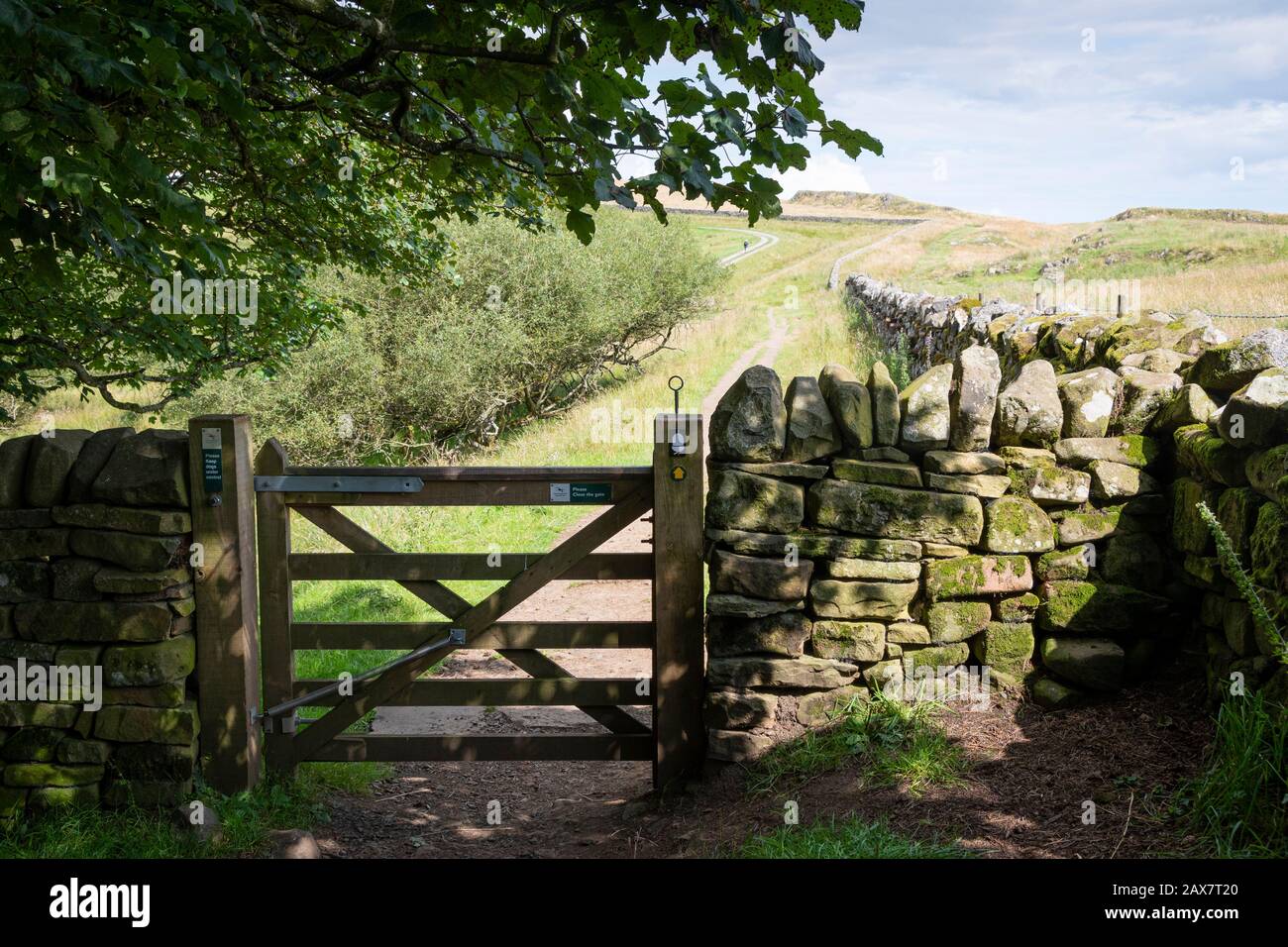 Cancello sul percorso del Muro di Adriano, vicino Una Volta Estratto, Northumberland, Inghilterra Foto Stock