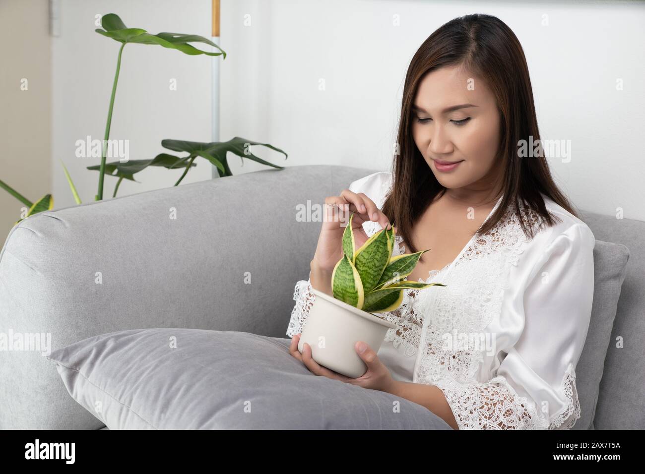 Donne asiatiche in merletto bianco biancheria da notte e accappatoi di seta contengono piante di purificazione dell'aria seduti sul divano grigio nella camera da letto di notte. Sansevieria Trifasci Foto Stock