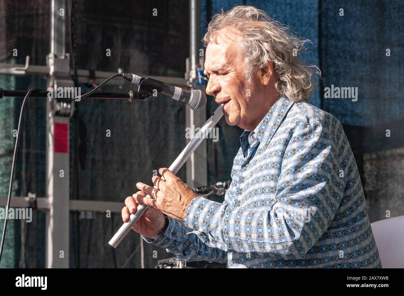 Birmingham, Regno Unito. 17 Marzo 2019. Finbar Furey si esibisce alla parata di San Patrizio a Digbeth. © Ken Harrison Foto Stock