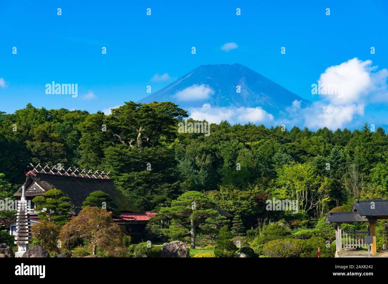 Monte Fuji con alberi verdi e parco in primo piano in una chiara giornata di sole Foto Stock
