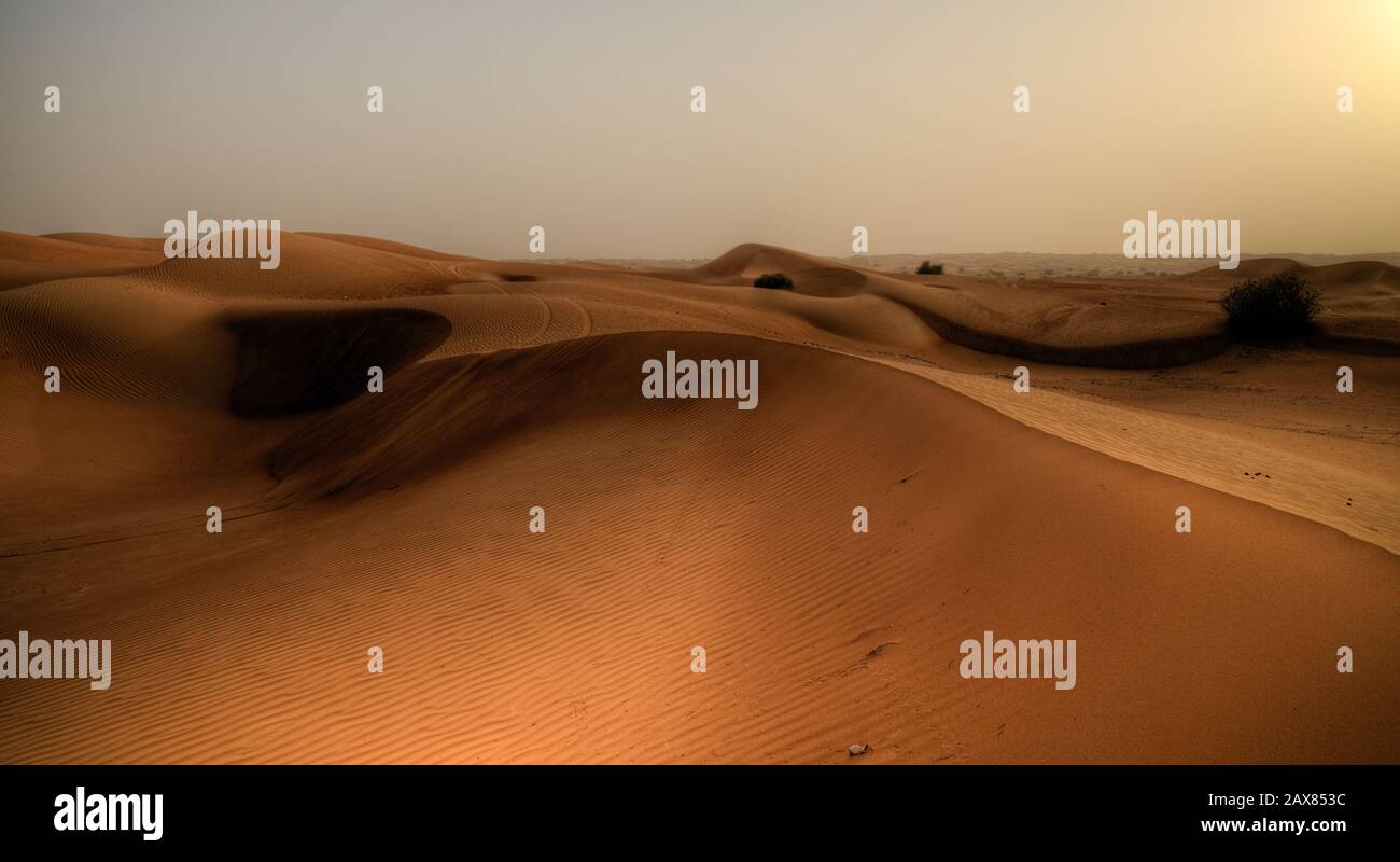 Desertscape vicino alla Hatta Road. EMIRATI ARABI UNITI Foto Stock