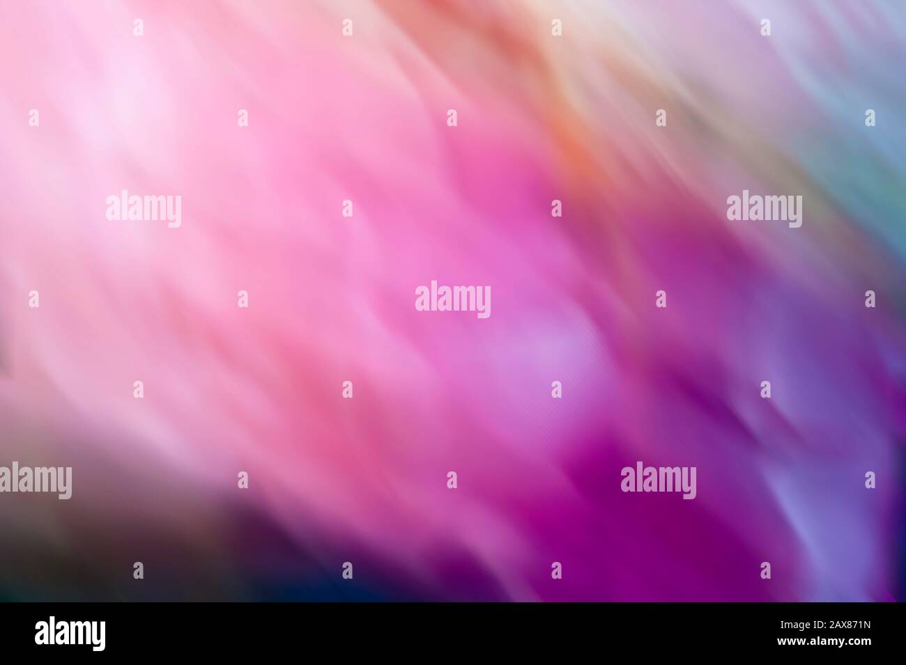 sfondo astratto onde viola e rosa Foto Stock