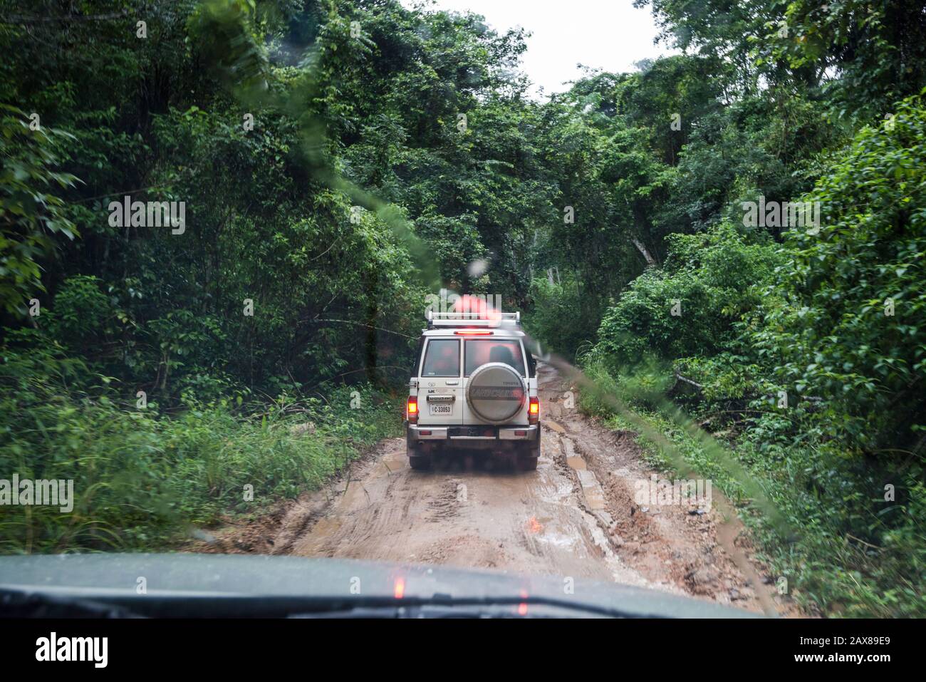 Veicoli sulla strada fangosa Chiquibul alla riserva forestale Mountain Pine Ridge, guida sotto la pioggia per Caracol, rovine Maya, Cayo District, Belize, America Centrale Foto Stock