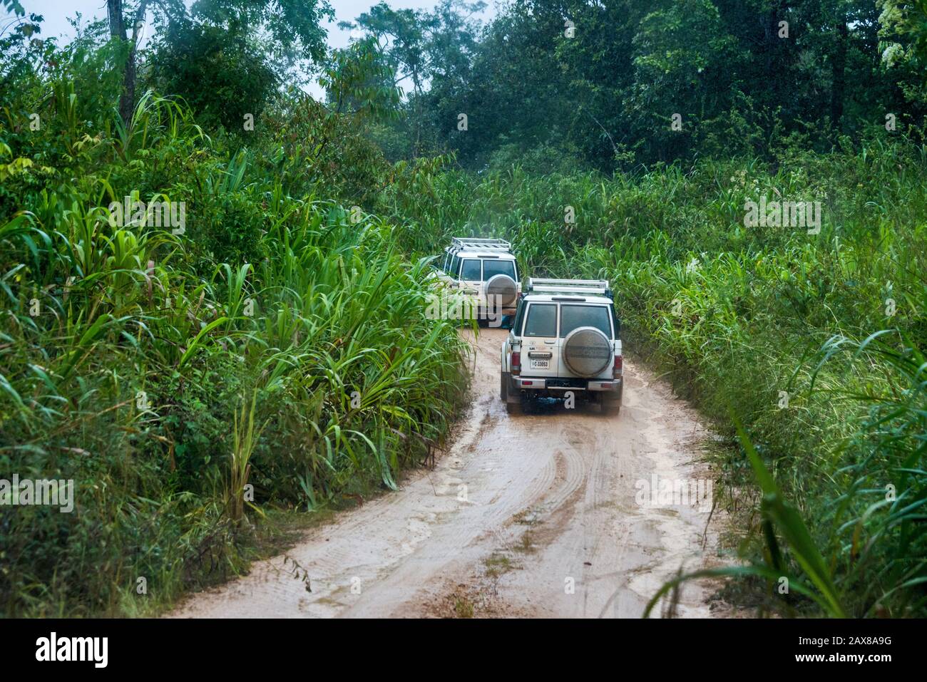 Veicoli sulla strada fangosa Chiquibul alla riserva forestale Mountain Pine Ridge, guida sotto la pioggia per Caracol, rovine Maya, Cayo District, Belize, America Centrale Foto Stock