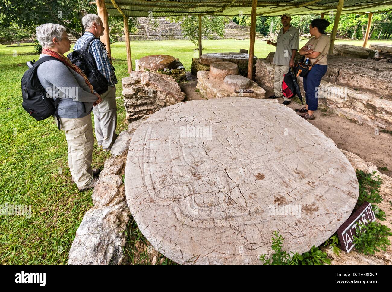 Carving Panel A Caracol, Rovine Maya, Chiquibul Plateau, Cayo District, Belize, America Centrale Foto Stock