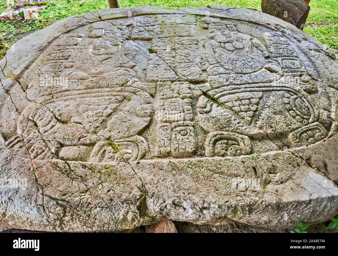 Carving Panel A Caracol, Rovine Maya, Chiquibul Plateau, Cayo District, Belize, America Centrale Foto Stock
