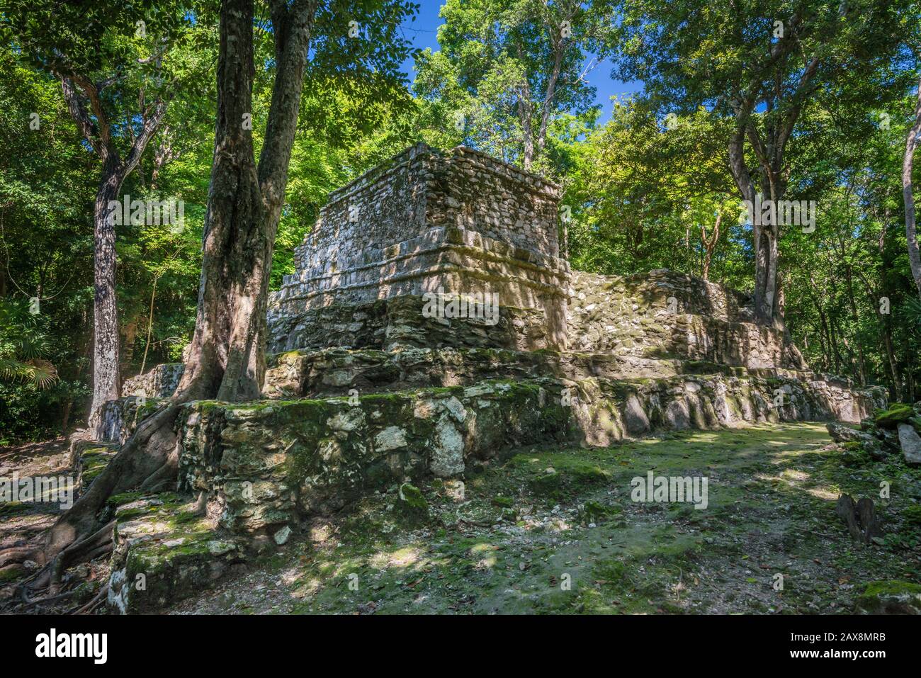 Struttura 9K-1 (Templo 8) a Chunyaxche (Muyil) rovine Maya, foresta pluviale vicino a Tulum, penisola dello Yucatan, Quintana Roo stato, Messico Foto Stock