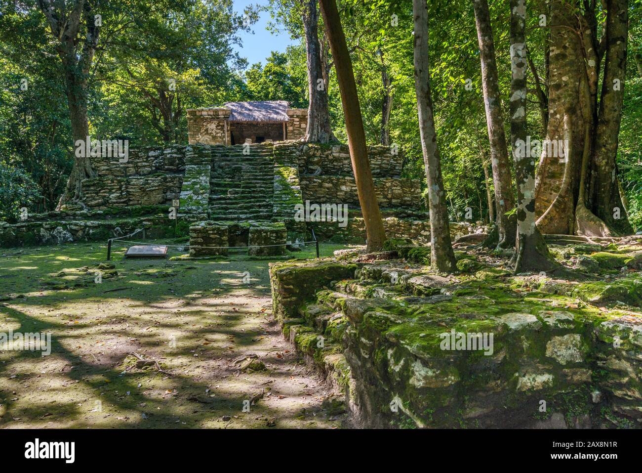 Struttura 9K-1 (Templo 8) a Chunyaxche (Muyil) rovine Maya, foresta pluviale vicino a Tulum, penisola dello Yucatan, Quintana Roo stato, Messico Foto Stock