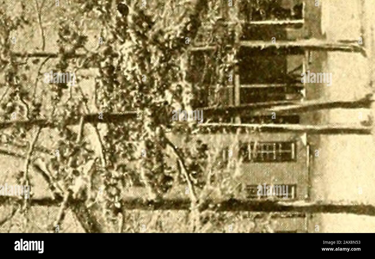 Littleton Female College Catalogo Dei Corsi . ? V., %*-.-,... -.?si.W.-it.^r. - tnr*/ N.* ^ ^ i! Fftttleton Female College. Pccultj and Officers - Continua. Mary ELIZABETH REDD, ex diem, Reading, Physical Culture. Helen MAR GORHAM, insegnante del reparto di affari e tesoriere del College. Emma WILLIAMS THORNTON, Segretario privato al Presidente. LUCY NEAL BIANCO, BIBLIOTECARIO. Mamie SHELTON, insegnante Di Telegrafia e sovrintendente Dipartimento industriale MAUDE THOMAS, Matron. Rosa VEACH,Attendant in Caso Di Malattia. Dr. WILLIS ALSTON, medico universitario. Catalogo Degli Alunni. Adams, Marion Robeson County, N. C. Aiken, Lucile G. Foto Stock