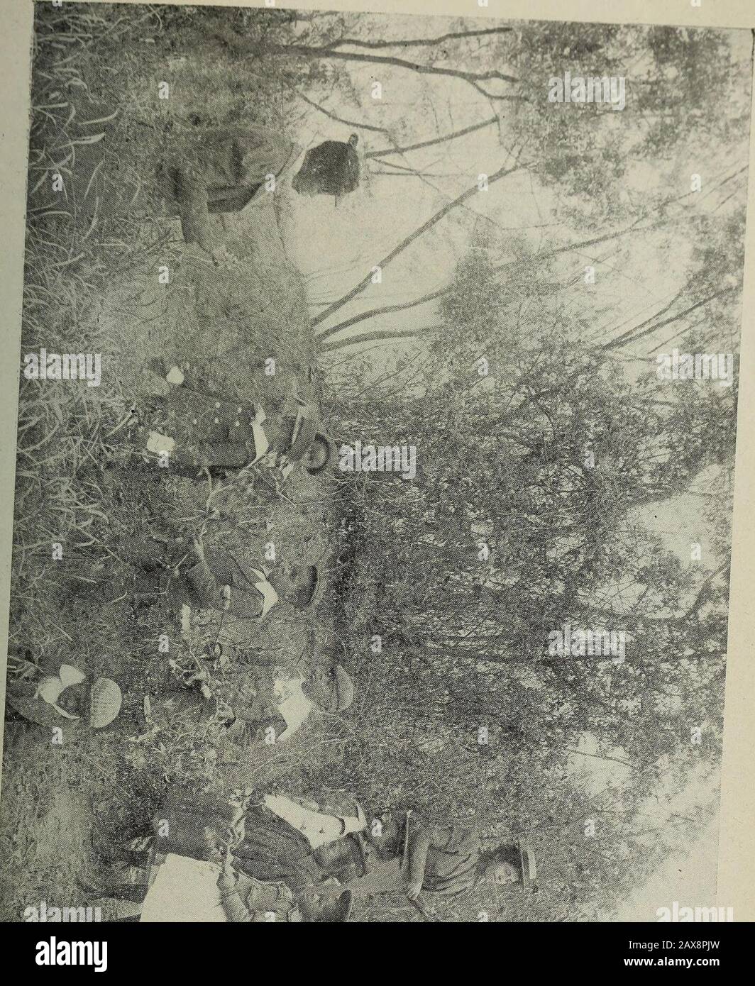 Catalogo dell'Hampton Normal & Agricultural Institute, a Hampton, Virginia, per l'anno accademico. L'aggiunta di oZZ ,7^ *S J* thi^ gradi, i loro multipli. P * PCR Cent, 6t P^ cent e savinSTnThTSnv t^STS* T^ ° ***ings banche. Molto trapano in tttf , & transferrence a sav- CATALOGO DEL quinto GraJe.-Mucb lavoro orale nelle quattro regole, in frazioni, e in percentuale continuato. Fatture e conti. SLins:rPtrrAr^Letic, ** *, e ***. ^ ermetico, n. 5, nelle mani degli alunni. Autunno.-il pensiero alla base dell'autunno -% r nasriS sus „Ue molto materiale per, m.ding, bw •> ««•,». |R,»- Foto Stock