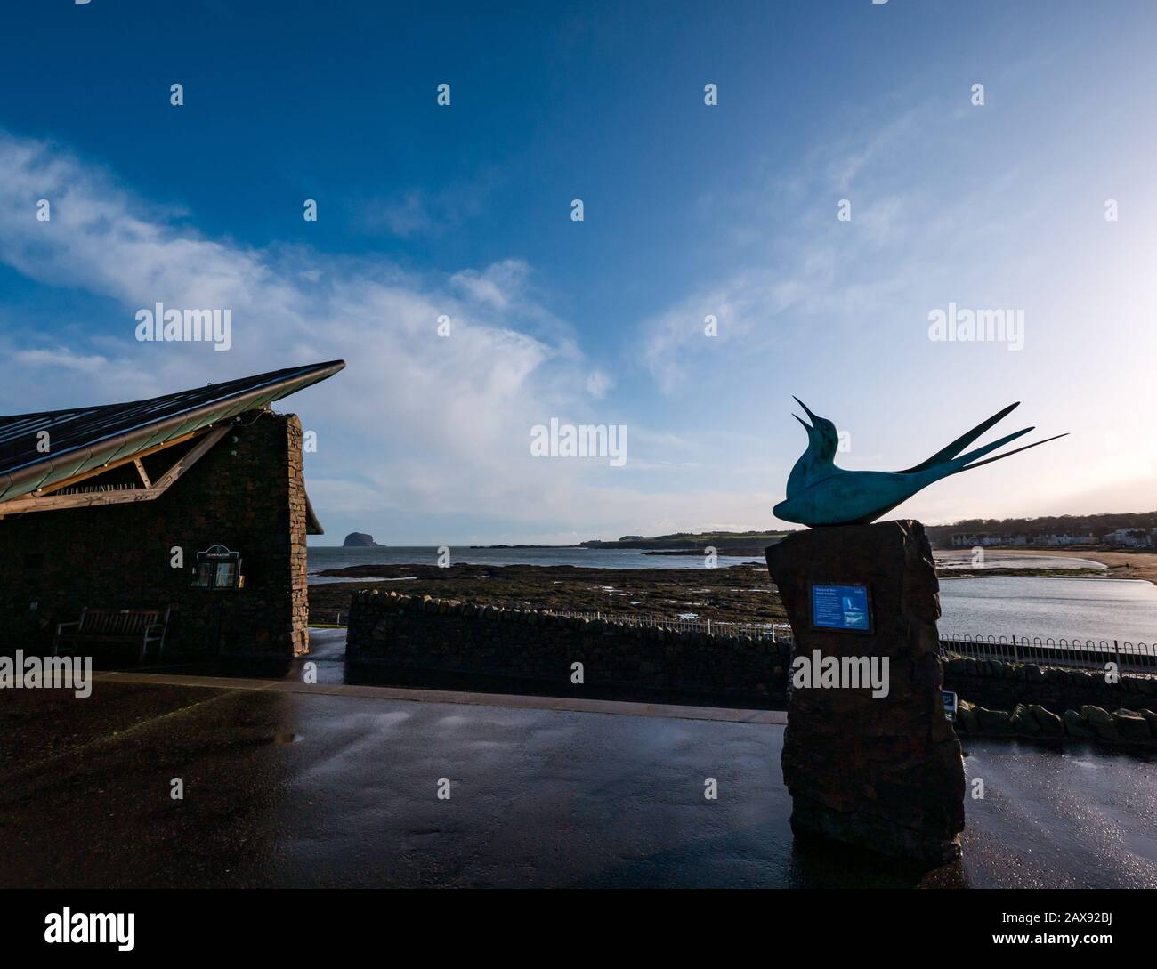 Scultura artica a terne di Geoffrey Dashwood presso lo Scottish Seabird Center, North Berwick, East Lothian, Scozia, Regno Unito il giorno dell'inverno Foto Stock