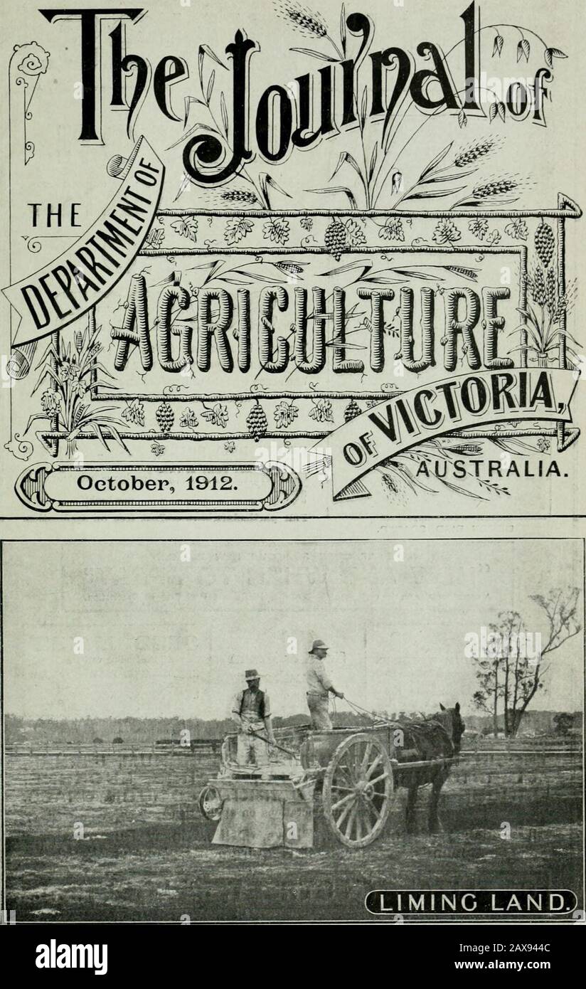 The Journal of the Department of Agriculture, Victoria . ngines, Boilers, Horseworlts, &c. Informazioni complete sull'applicazione a: Humble and Sons, General Eng-ineeps, VULCAN FONDERIA, GEELONG. 1 REPARTO ^^^ DI AGRICOLTURA VICTORI^^. ISROV^R ^A^^T-^^IL^^BLE. H[.A.]M^I3BOOZ£^ DI MALATTIE DELLA PATATA 1 ;: IN AUSTRALIA » E IL LORO TRATTAMENTO. Di D. McAlpine, Patologo di Vegetable del Governo. Con APPENDICI di W. LAIDLAW, B.Sc, biologo, su Eel-Worms. C» FRANCESE, Junr., Recitazione:-Goveinment Entomologist, sugli Insetti Infestanti del Potato. 235 pagine (tessuto). 58 Piastre Complete. 170 Illustrazioni. PREZZO CINQUE SHILLIN Foto Stock