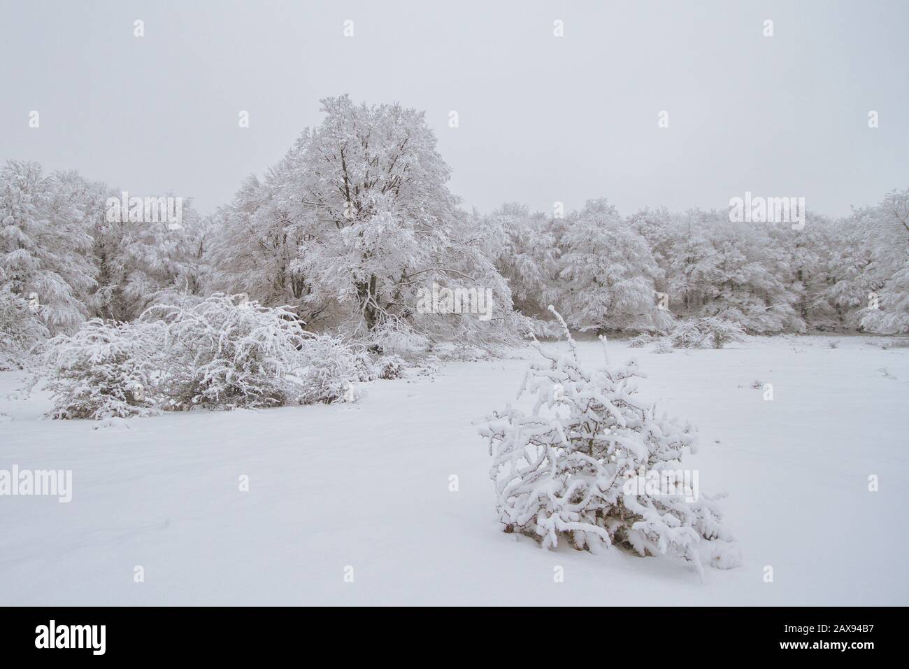 Parco Naturale Di Urbasa E Andia, Navarra/Spagna; 15 Novembre 2013. Prima neve della stagione nel Parco Naturale di Urbasa e Andia. Foto Stock