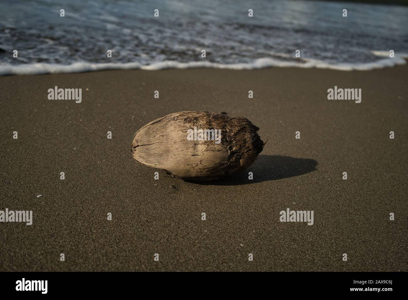 Una noce di cocco sulla spiaggia, sullo sfondo l'orizzonte e il mare Foto Stock