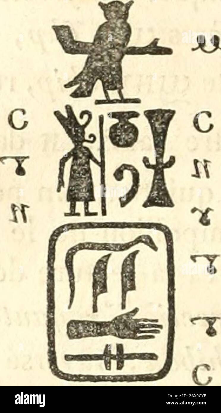 Encyclopédie moderneou, Dictionnaire abradé des sciences, des lettres et des Arts ... . pourrait le rapporter aux» racines coptes T^.ie taue, T5&gt;0*e taoue, produ-» cera, proferre, dont le primitif TZ-^C^UJ taouô pa-» raît formé de Tis ta, dare, et de Oîf CLT ouô, germen. »Ce raisonnement nous paraît tout-à-fait insoutenable ;auto ni taue ni taoue ne signifient en copte jroduire.Dans cette langue, le verbe ^i^Oto taoud ou TZ^o^Etaoue, en dialecte mourique T2&gt;.*2&gt;. ^«w«, est lesynonyme du ÎTrayav, conduire; II a également lasignification de dire, proférer des paroles : mais on Foto Stock