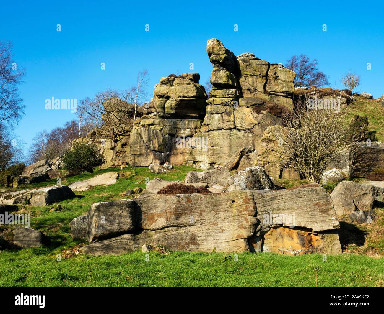 Gritstone Rocks a Brimham Beacon sul bordo meridionale di Brimham Moor Nidderdale AONB North Yorkshire England Foto Stock