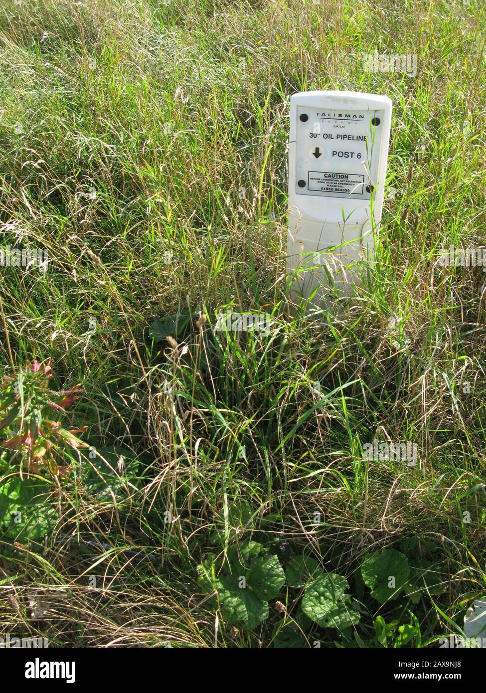 Marcatore Oleodotto, Orkney, Scozia Foto Stock