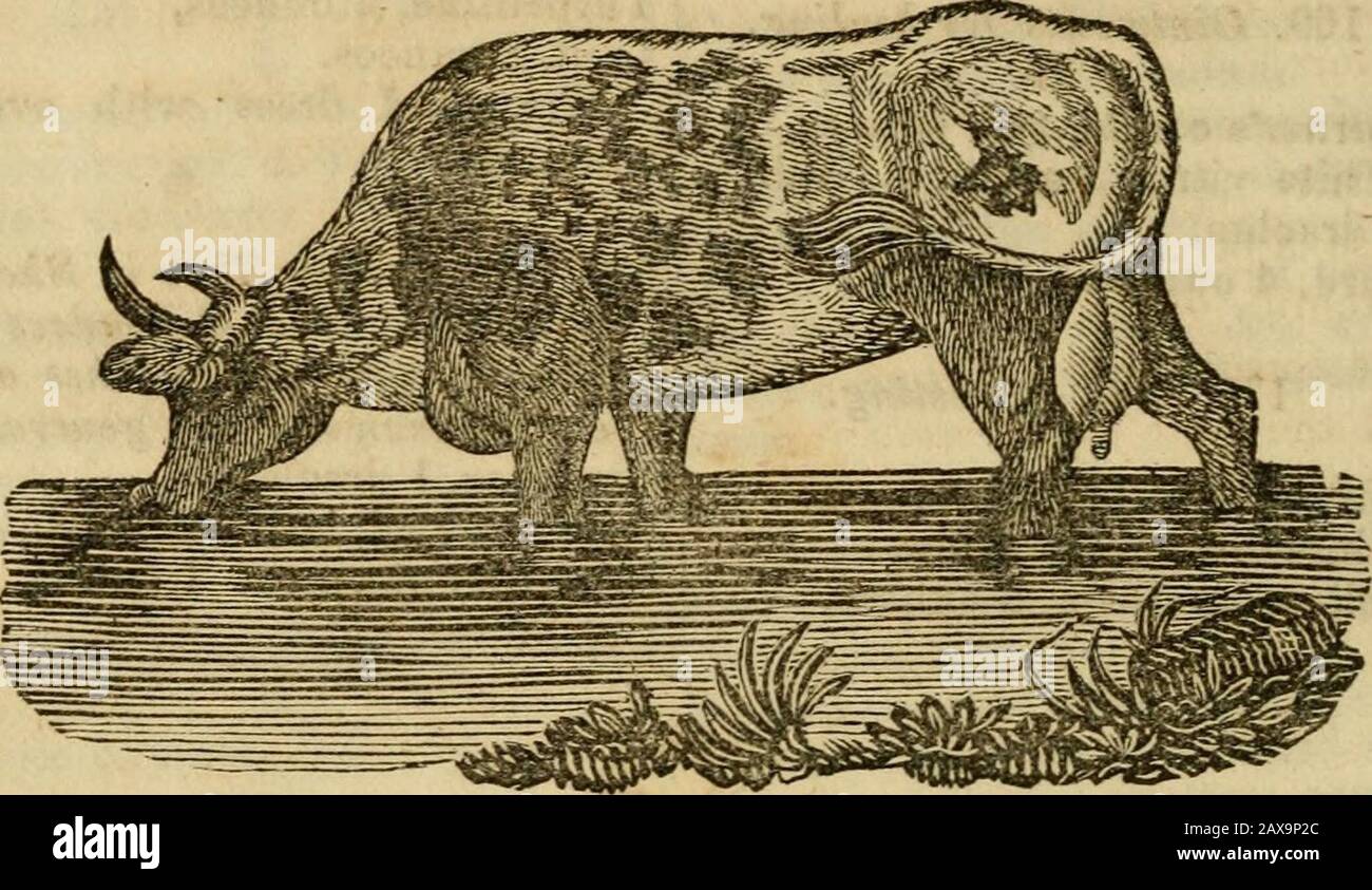 Il Signore nuovo farrier tasca : comprendente una descrizione generale del nobile e utile animale, il cavallo ..to che è aggiunto UN saggio Premio su mues ..Also, un addenda, contenente Annali del tappeto erboso, American Stud book, regole per la formazione, corse, &c. . e sterco di vacca, ogni about2 libbre. Tar, mezzo libbra. 167. Lavare per coring out, de-strying fungo, o fiera festa,^c.. ^c.. Caustica lunare, una dracma, Acqua, 2 once. 168. Lavare per Mange.Corrosive sublimato, 2 dracme, Spirito di vino o brandy, 1 oz.Decozione di tabacco, Do. Di helebore bianco, di ogni 1pint LA FARMACOPEA VETERINARIA. 255 Dis Foto Stock