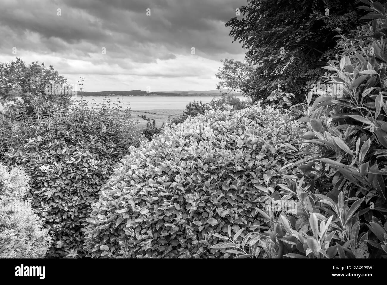 Chiudete la siepe sulla grange, sulla sabbia di Morecambe Bay, Regno Unito Foto Stock