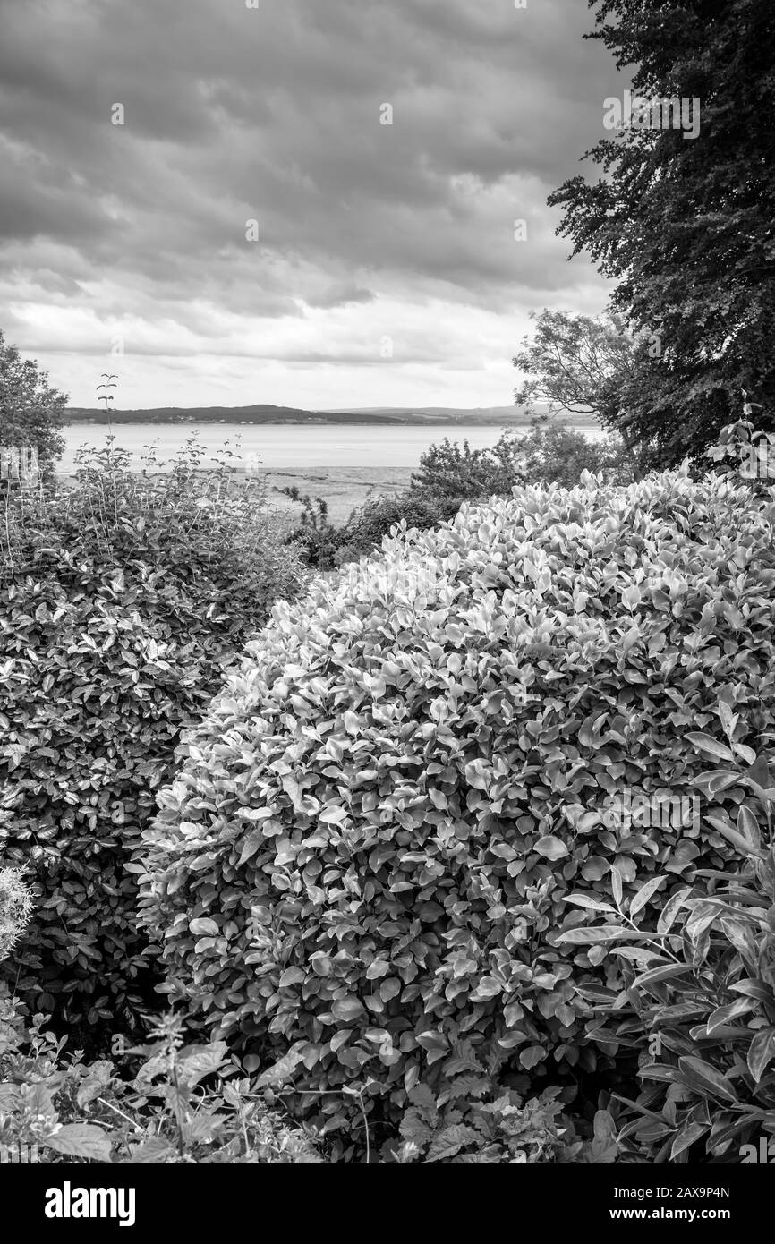 Chiudete la siepe sulla grange, sulla sabbia di Morecambe Bay, Regno Unito Foto Stock