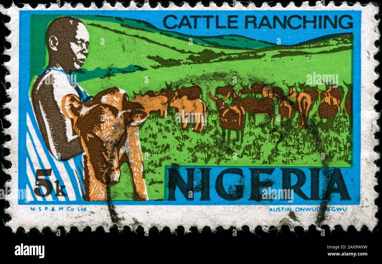 Allevamento bovino - fotoincisione scuro Foto Stock