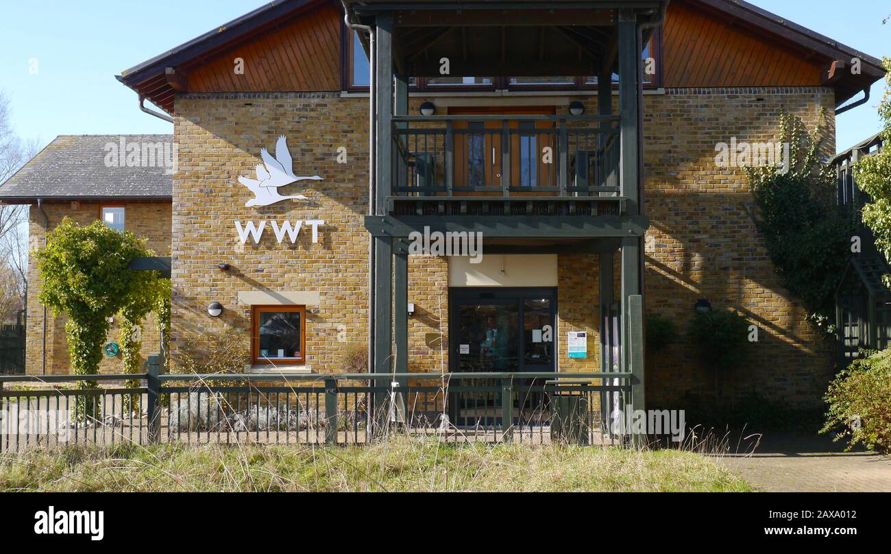 The Building of the Wildfowl and Wetlands Trust in Barnes London UK Foto Stock