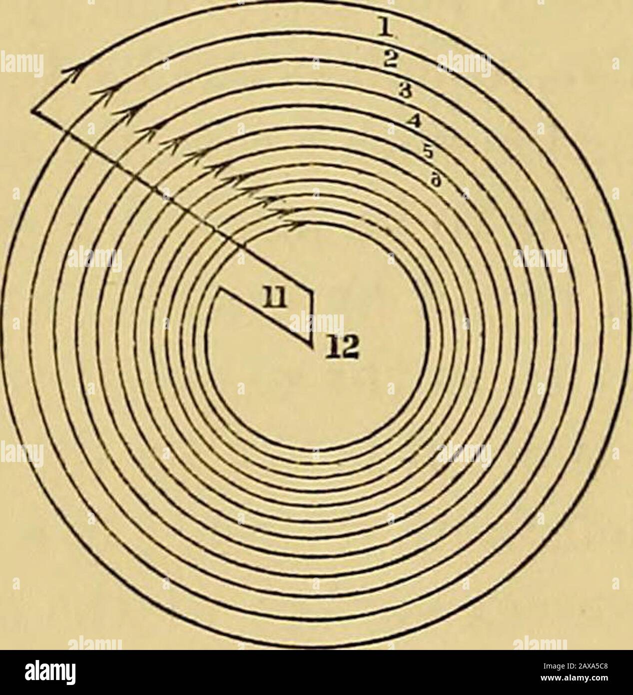 Ristampa di carte su elettrostatici e magnetismo . mostrato a becorrect, se si accetta di considerare il potenziale dovuto a terrestrestrestrestiragnetismo come complessivamente positivo per le posizioni nord, andnegativo per le posizioni sud dell'equatore magnetico; Poiché, come è ben noto, le correnti intorno alla terra, procedendo sul 430 UN Tlteory matematico di Magnetismo. [xxv. tutto da est ad ovest, produrrebbe fenomeni simili agli attuali fenomeni di magnetismo terrestre. 559. Si consideri ad esempio un circuito conduttore costituito da dodici spire complete di elica, e che viene fatto in modo da essere rappresentato lungo l'asse Foto Stock