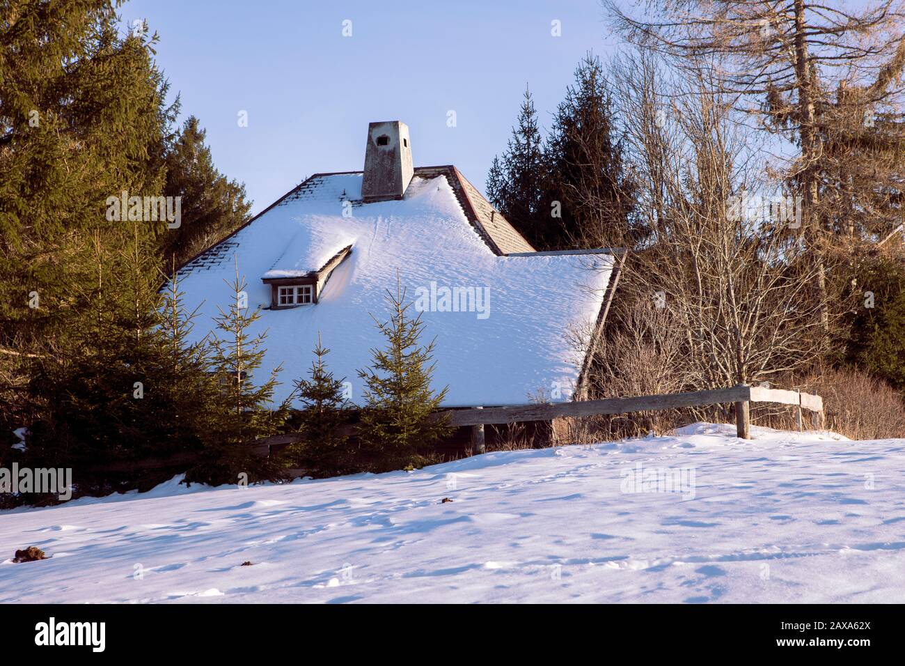 Tetto spiovente coperto di neve. Tradizionale casa rustica di montagna in legno, con alberi di conifere circostanti in inverno giorno. Foresta Nera, Germania. Foto Stock