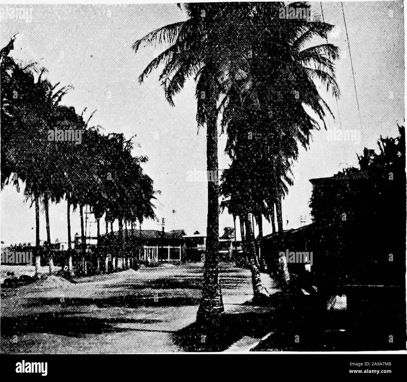 Sotto la croce meridionale in Sud America . SCENA STRADALE. CRISTOBAL, DUE PUNTI. UN SOBBORGO DI COLON 11 I BOUNDING BUCCANEERS 43 giacciono montagne a causa di fughe giovanili. Era di natura dar-ing, impetuosa, e lo adattava bene, quando venne alle isole, a gettare nel suo sacco con i temerari arditi che divoravano thesee per la scioglie spagnola. Portò il suo saccheggio principalmente a Port Royal, che divenne un ricorso per i personaggi disperati e viziosi, e crebbe ricco e malvagio dai profitti del freeboot. Morgansest exploit fu la combustione della città di Panama nel 1671, con questa feat annunciata Foto Stock