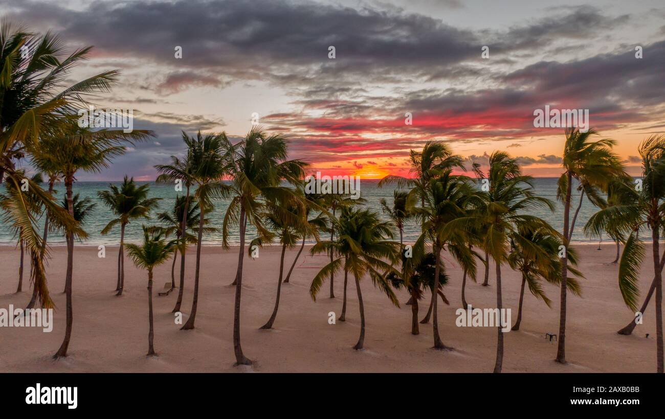 Spiaggia tropicale al tramonto, palme, sabbia Foto Stock