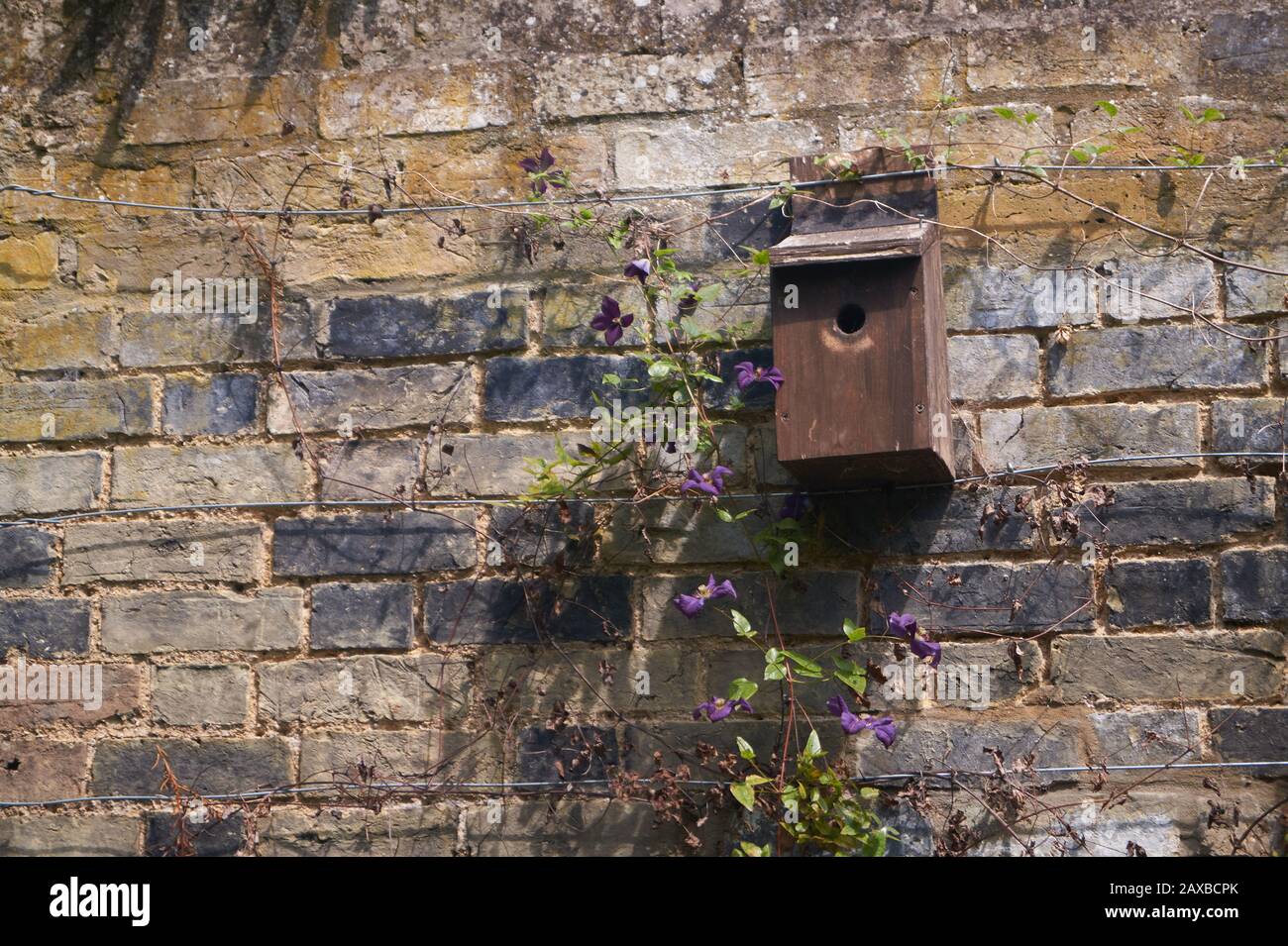 Vecchia casa di uccello rotto sulla vecchia parete Foto Stock