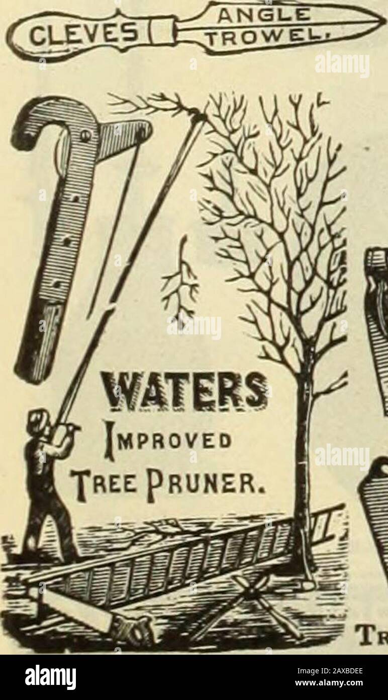 Libro del giardino di Dreer : settantaquattresima edizione annuale 1912 . pollice, per 100, lunghezza 42 pollici,42 42 i 36 i Stake Tinti Qreen.per 1000. Acciaio zincato. N. 75 cts.; per 1000. 5 25 85 ...aggiungere 10 cts. Per 100, 90 cts. 2 feet2i . 3 .3J Per gabinetto. Per looo. G 60 75 90 1 10. Foto Stock