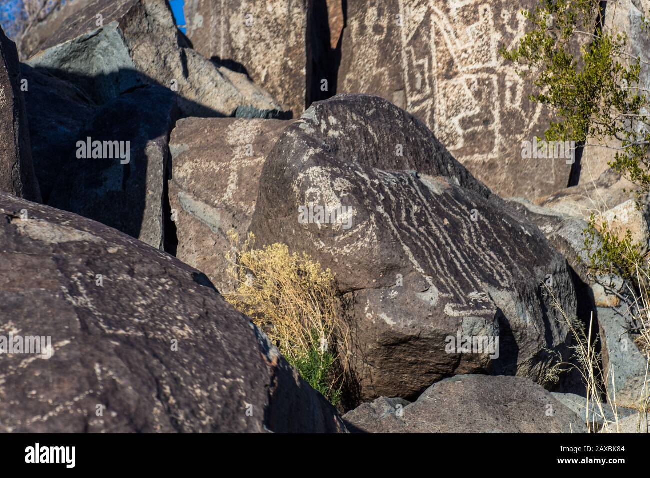 Immagini di 600 anni scolpite nel basalto dai popoli Jornada Mogollon del New Mexico. Foto Stock
