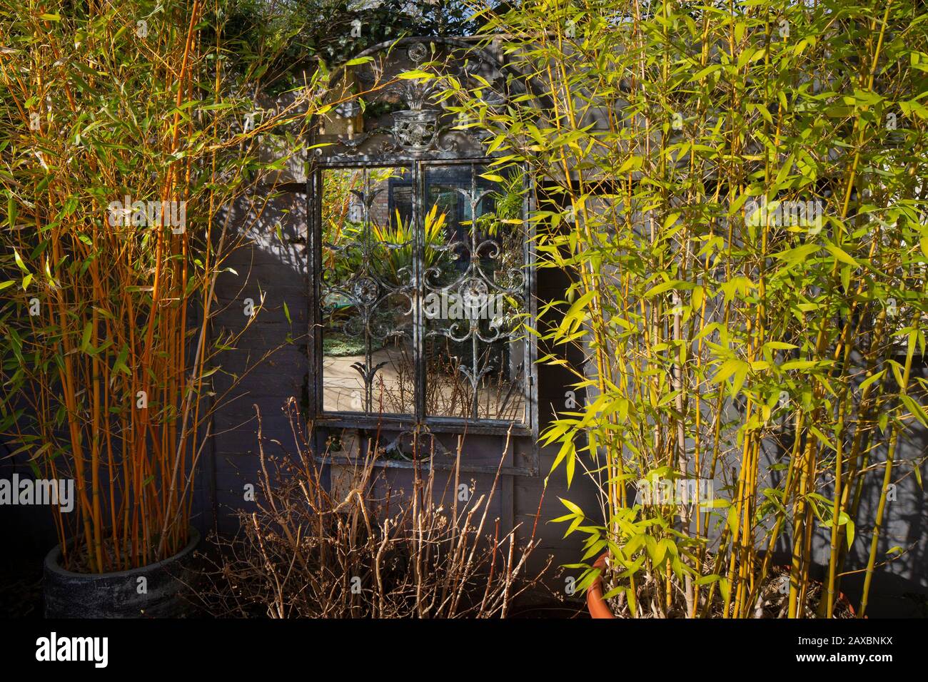 Struttura in metallo e specchio con bambù in giardino inglese Foto Stock