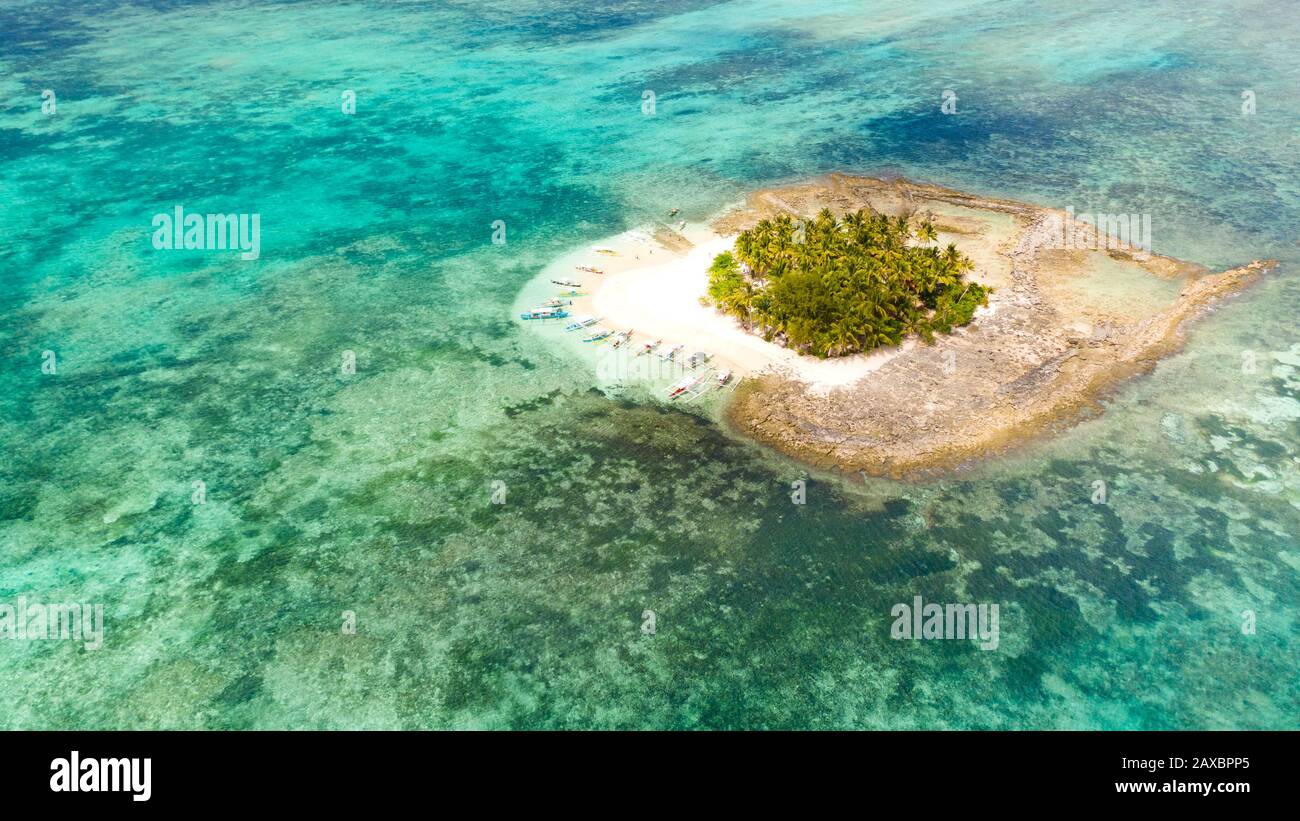 Guyam isola, Siargao, Filippine. Piccola isola con palme e una spiaggia di sabbia bianca. Isole Filippine. Foto Stock